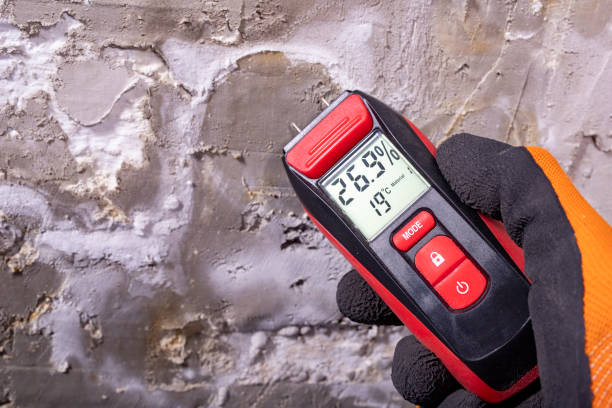 Best Attic Mold Removal  in Rancho Cordova, CA