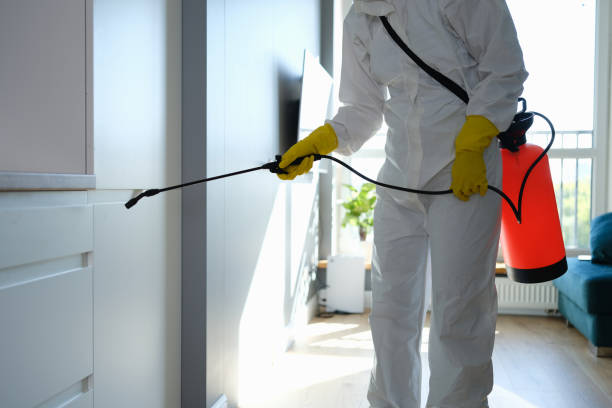 Rancho Cordova, CA Mold Removal Company